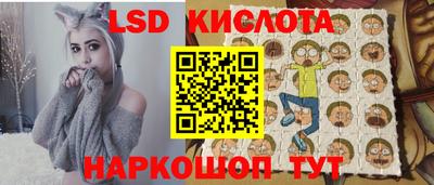 хмурый Кингисепп