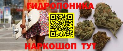 хмурый Кингисепп