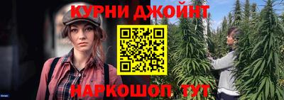 хмурый Кингисепп