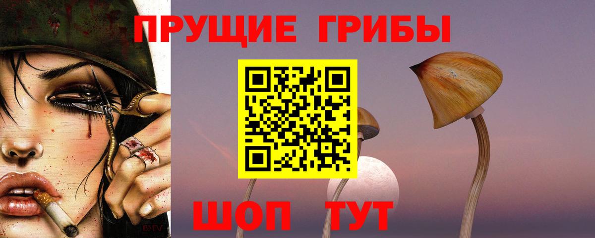Коммунар  Псилоцибиновые грибы GOLDEN TEACHER  Вход с VPN 